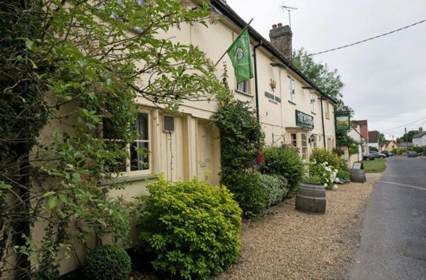 Hotel The Plough Great Chesterford Exterior foto